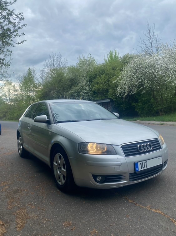 AUDI A3 8P 1.9 TDI 77kW - 3