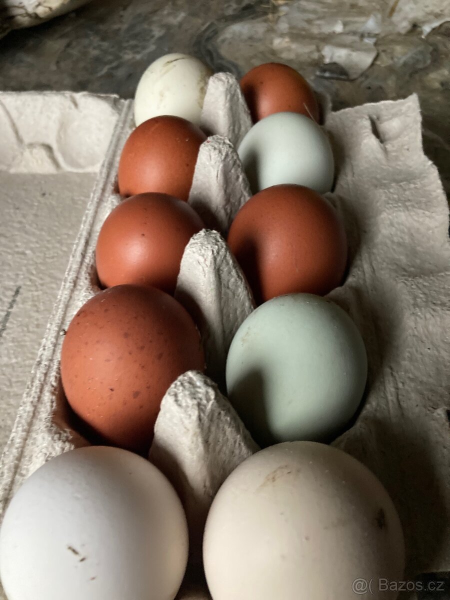 Domácí vajíčka - 3