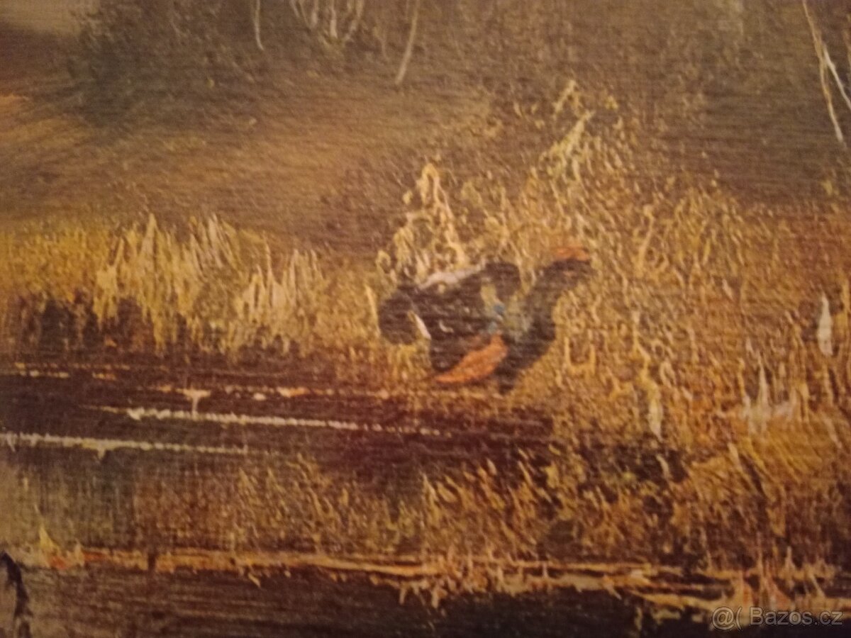 Tetřevi na vřesovišti - 3