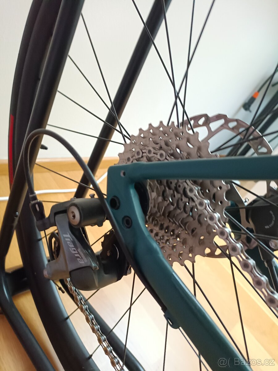 SPECIALIZED ALLEZ E5 DISC SPORT SATIN TROPICAL 2023 56 - 3