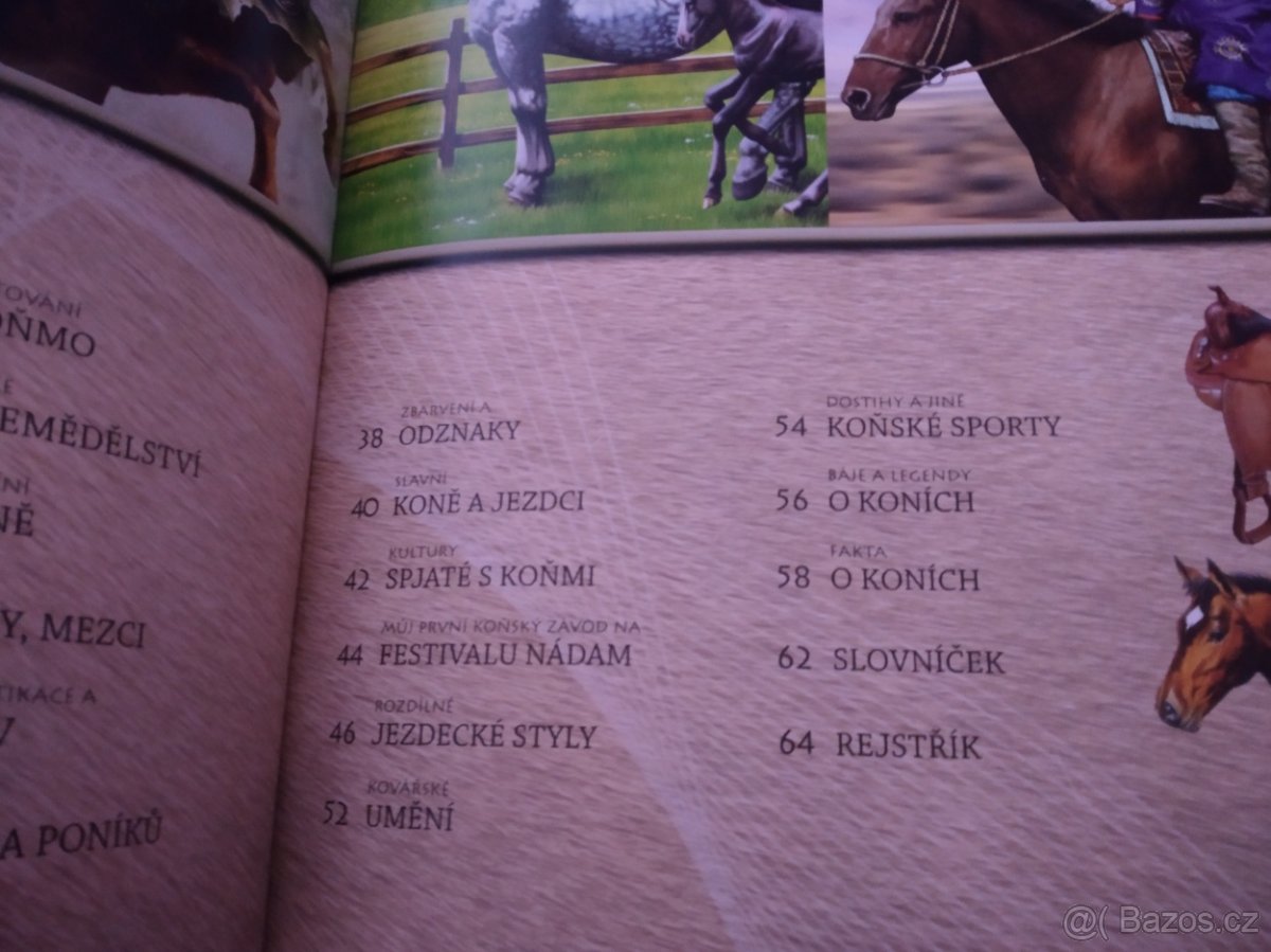 Kůň zvíře, které změnilo svět - 3