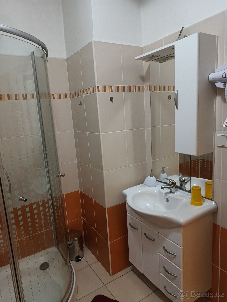 Pronajem garsonky - 3