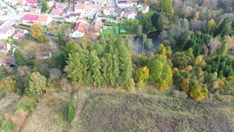 Prodej lesa, 986 m², Strmilov - 3