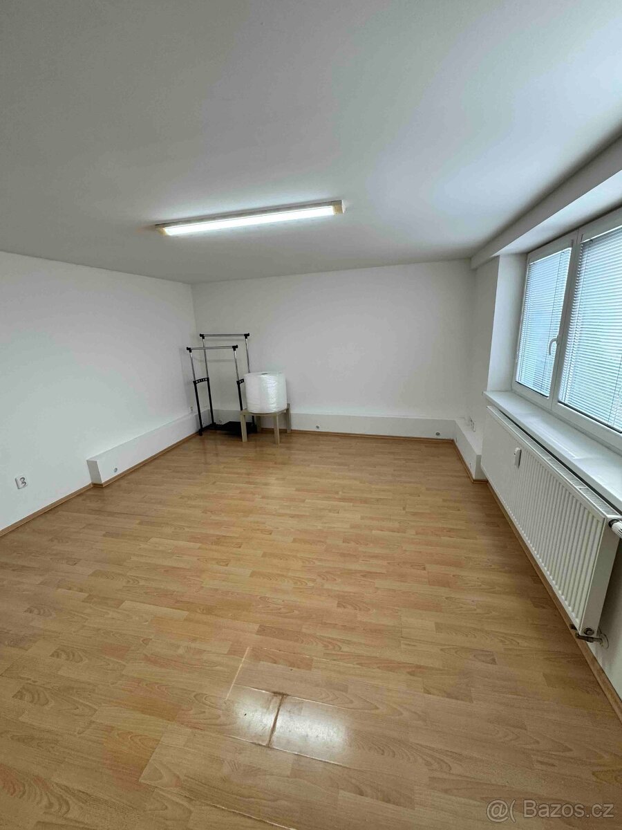 Pronájem bytu 1KK s terasou, Brno- Hálkova - 3