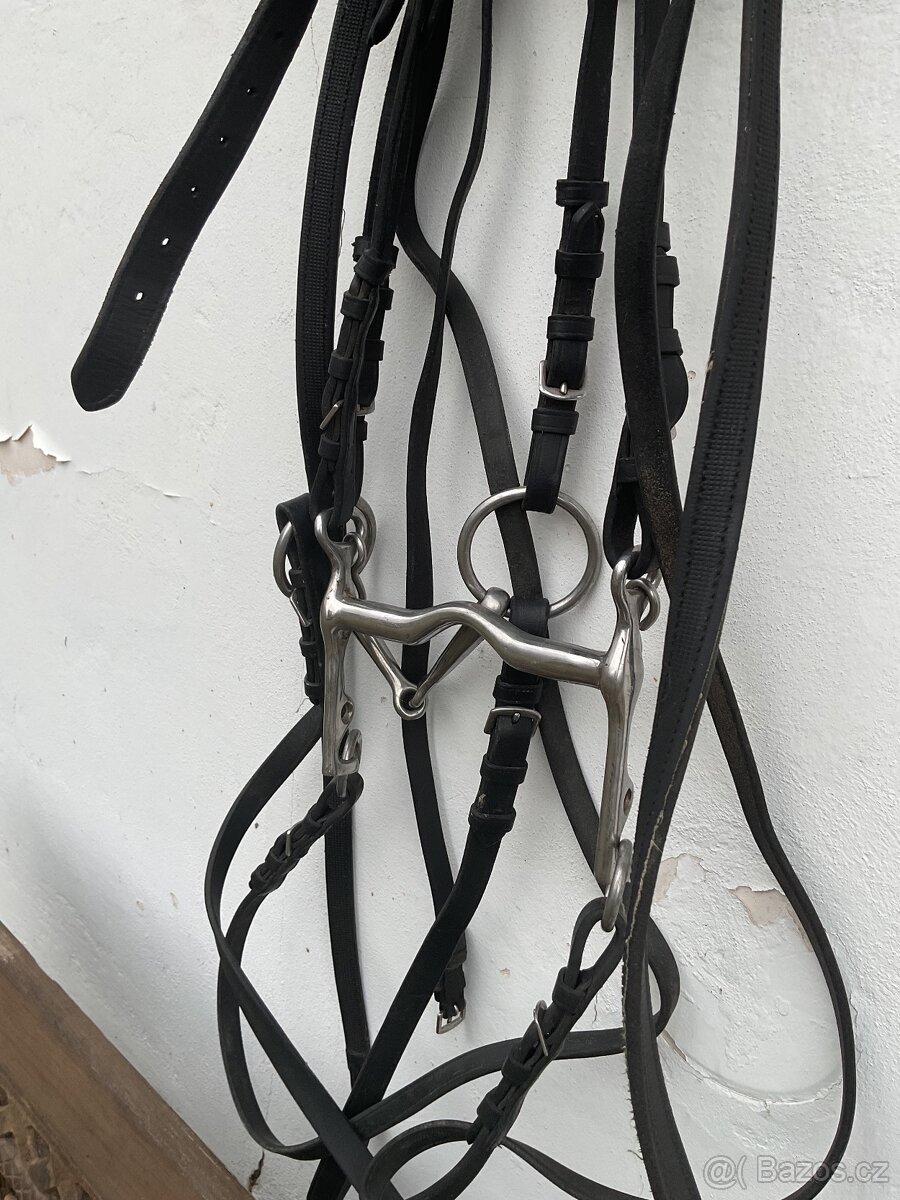 Drezurni uzda full - 3