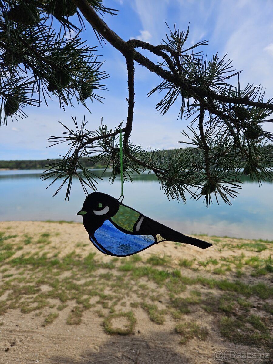 Sluneční Ptáček - 3