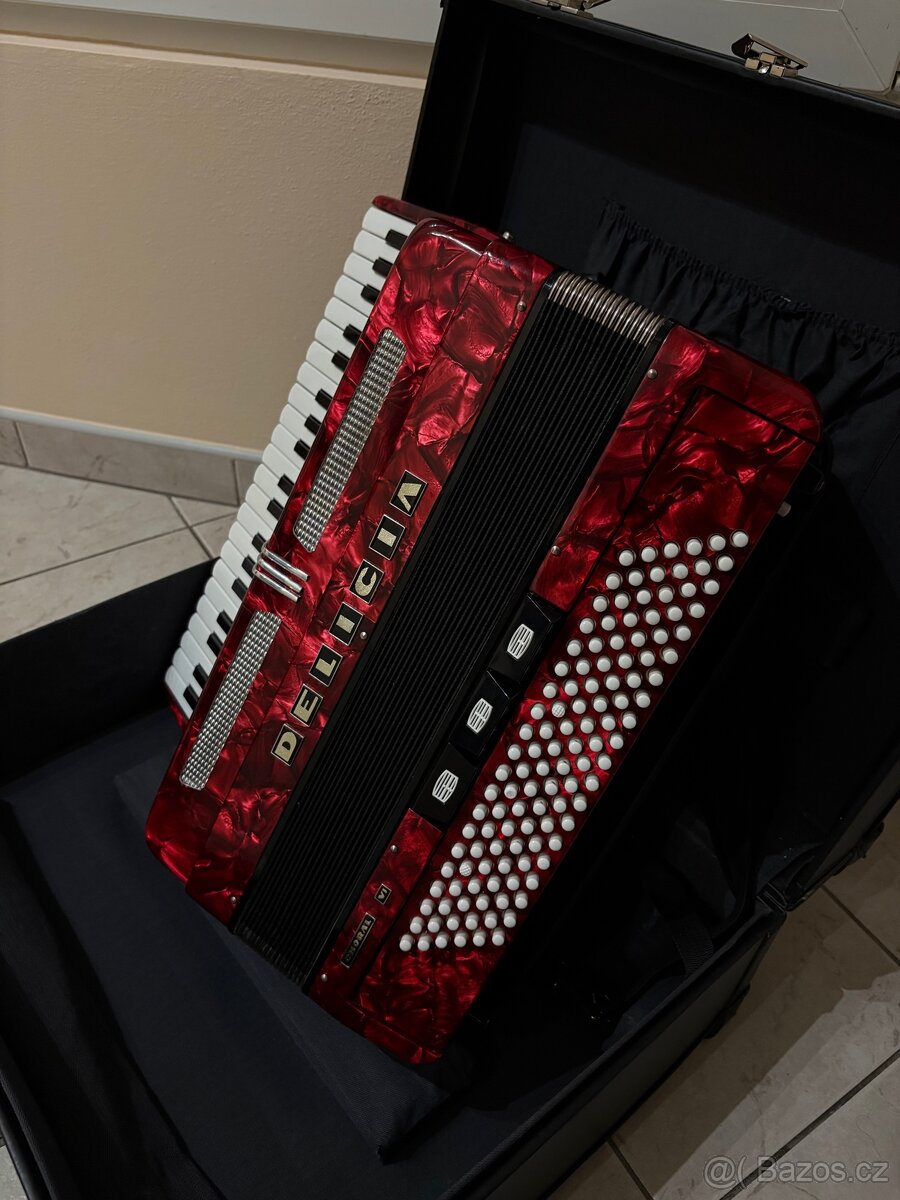 Akordeon Harmonika - 3