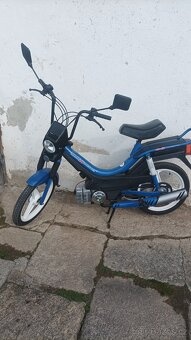 Korado manet - 3