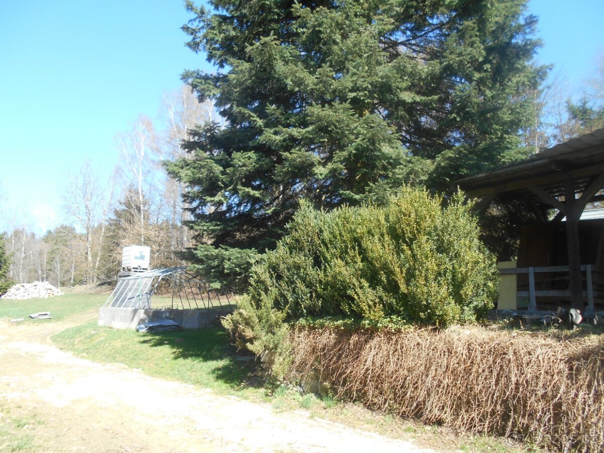 Prodám,nebo pronajmu - 3