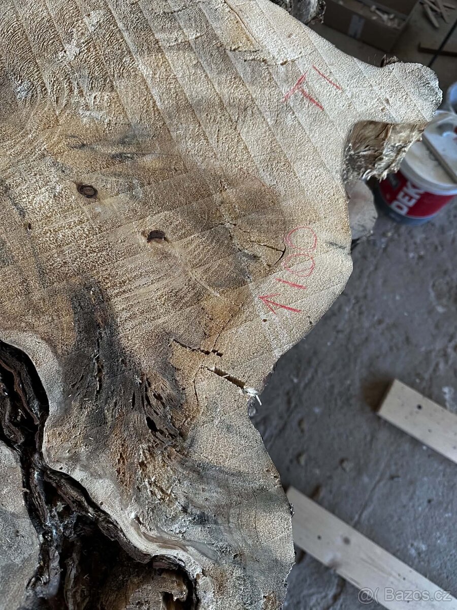 Koláče topol 100 cm a více, vysušené - 3