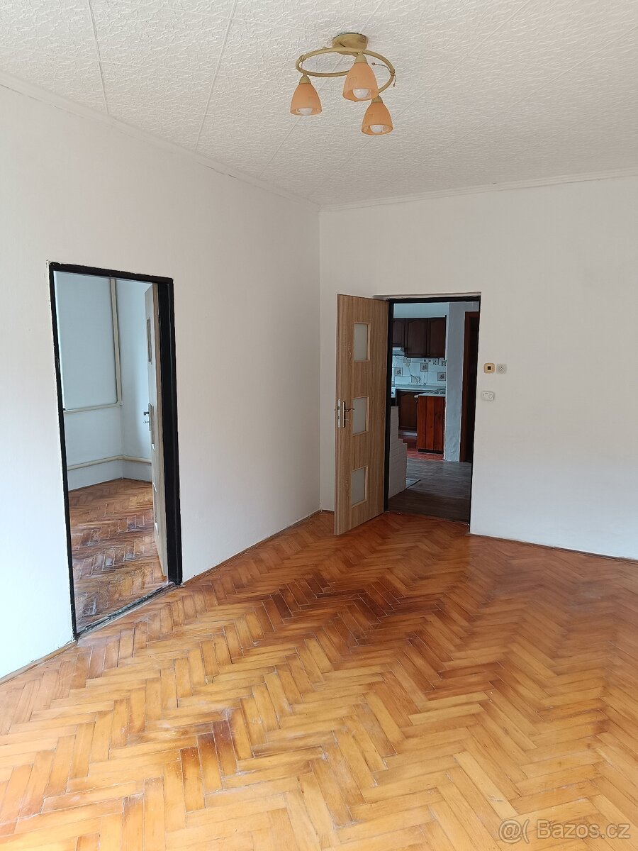 Hezký prostorný byt 2+1 72 m2 se zahradou na klidném místě - 3