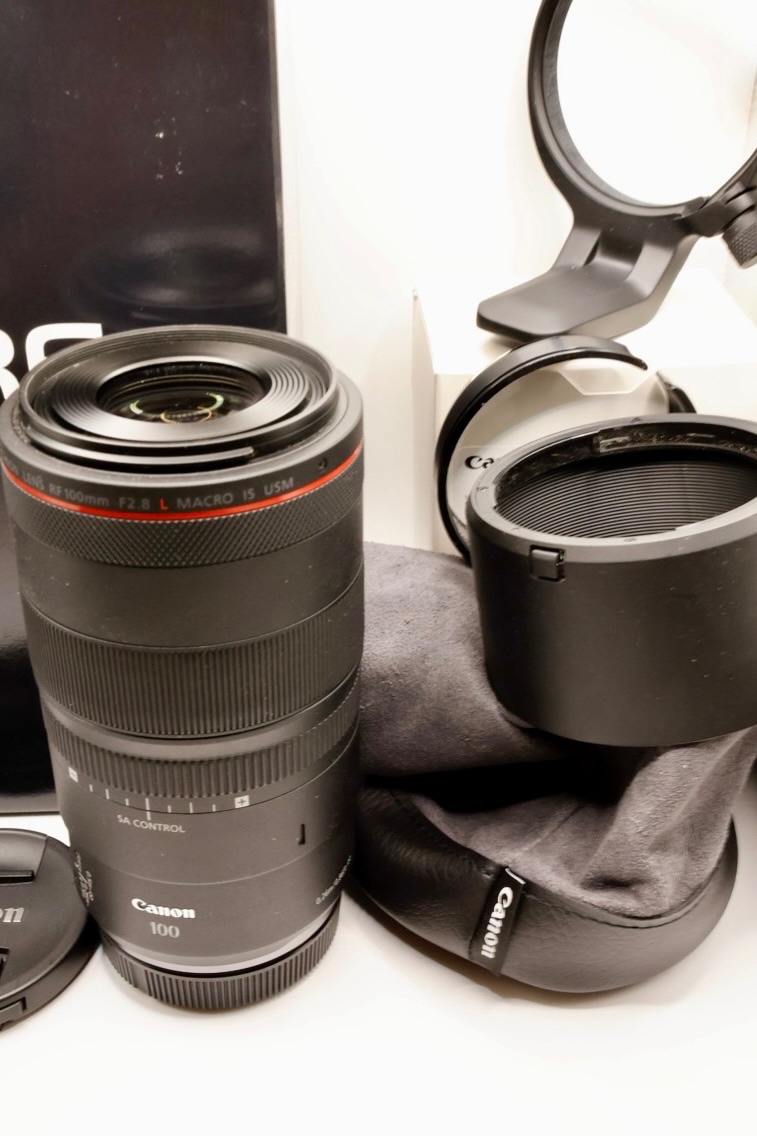 Canon RF 100mm F2.8L USM - 3