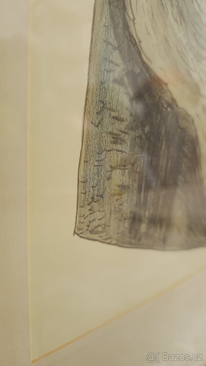 Jaro Beran-MilenciJaro Beran-Milenci - 3