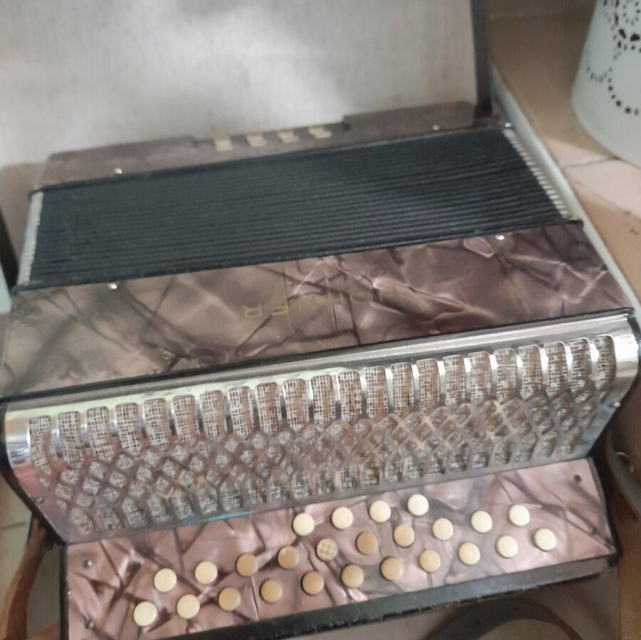 Heligonka hohner liliput - 3