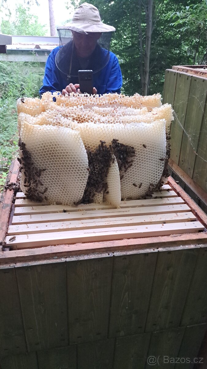 Nabízím k prodeji včelí oddělky 39x24 - 3
