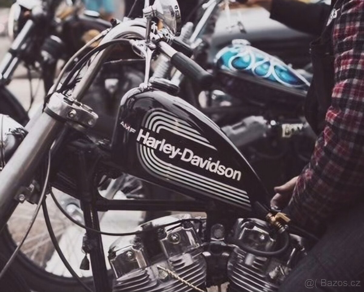 HARLEY DAVIDSON DIAGNOSTIKA SERVIS - 3