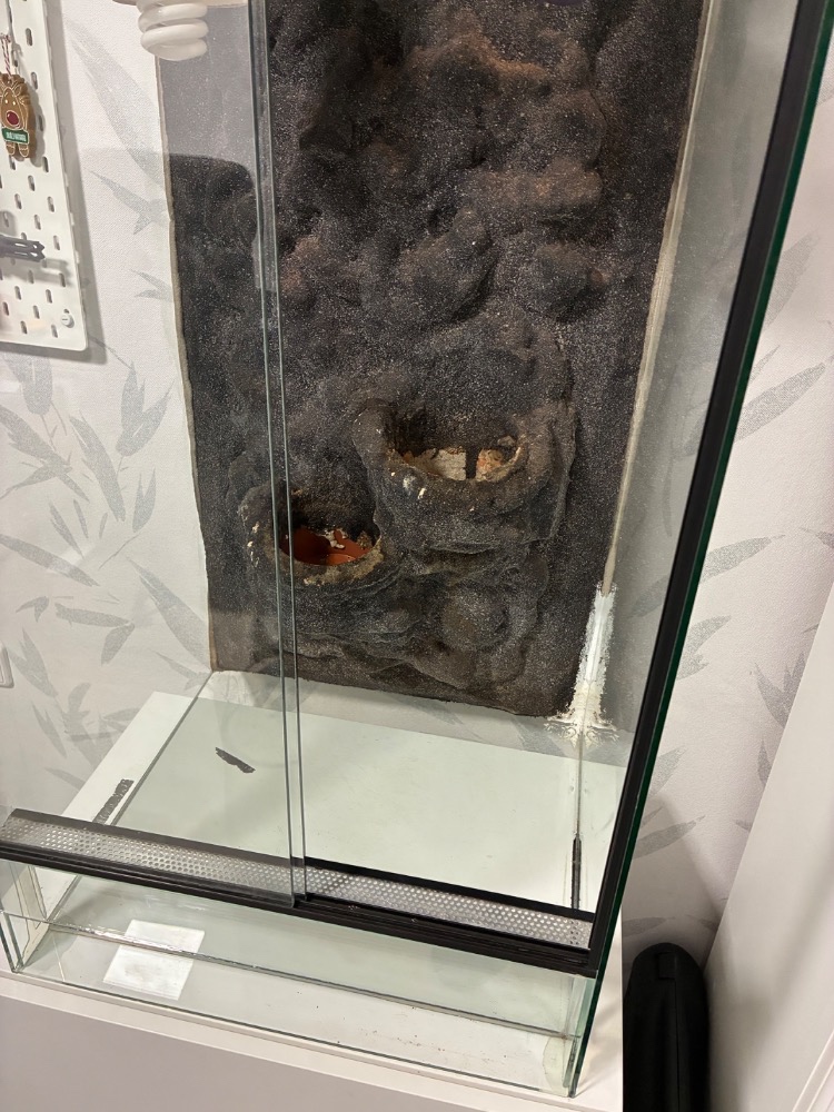 Terárium pro chameleona - 3