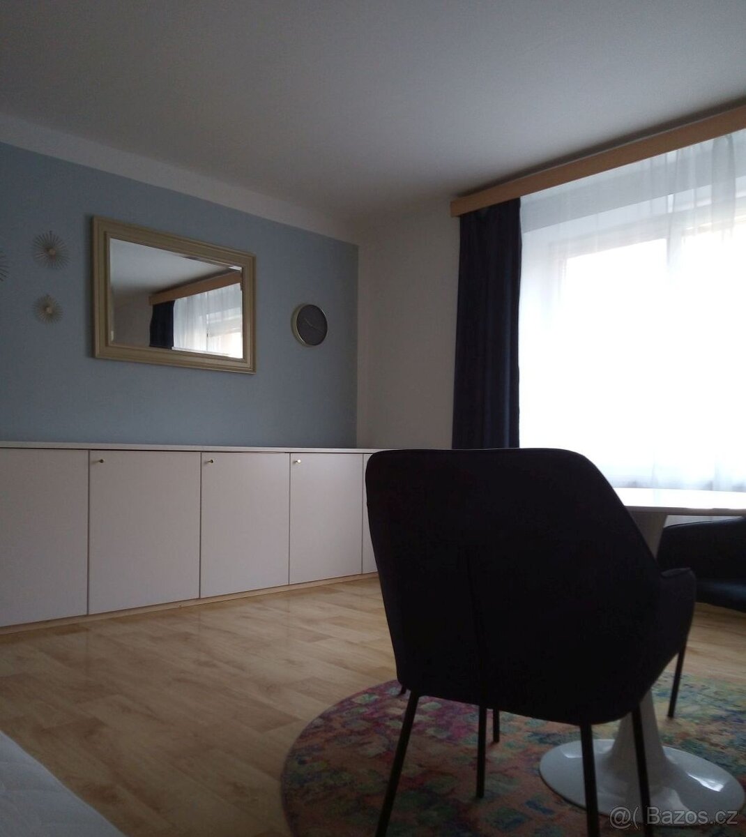 Dlouhodobý pronájem bytu - 3
