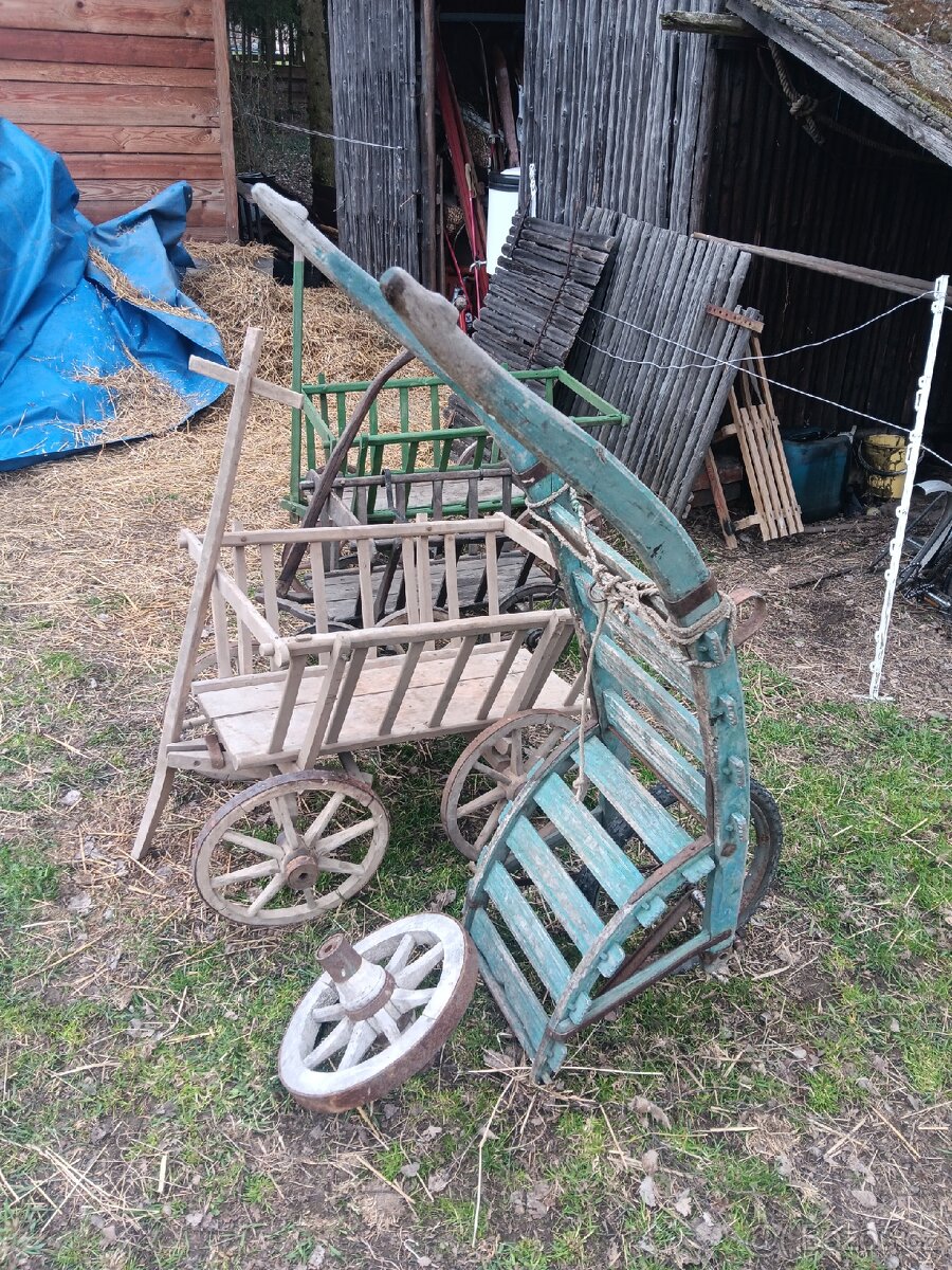 Zebrinaky , trakar - 3