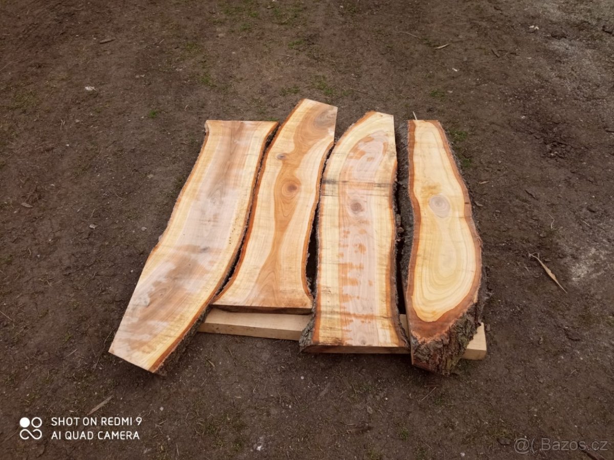 Fošny třešeň - 3