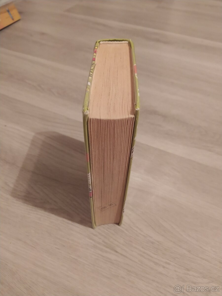 Tom Gates: Všechno je fakt šílený - 3