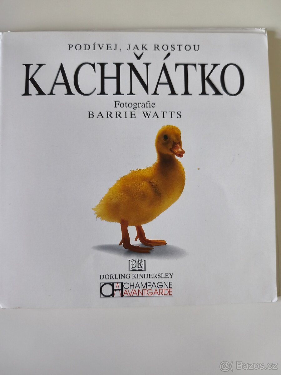 Kachňátko – podívej jak rostou, naučná knížka pro děti - 3