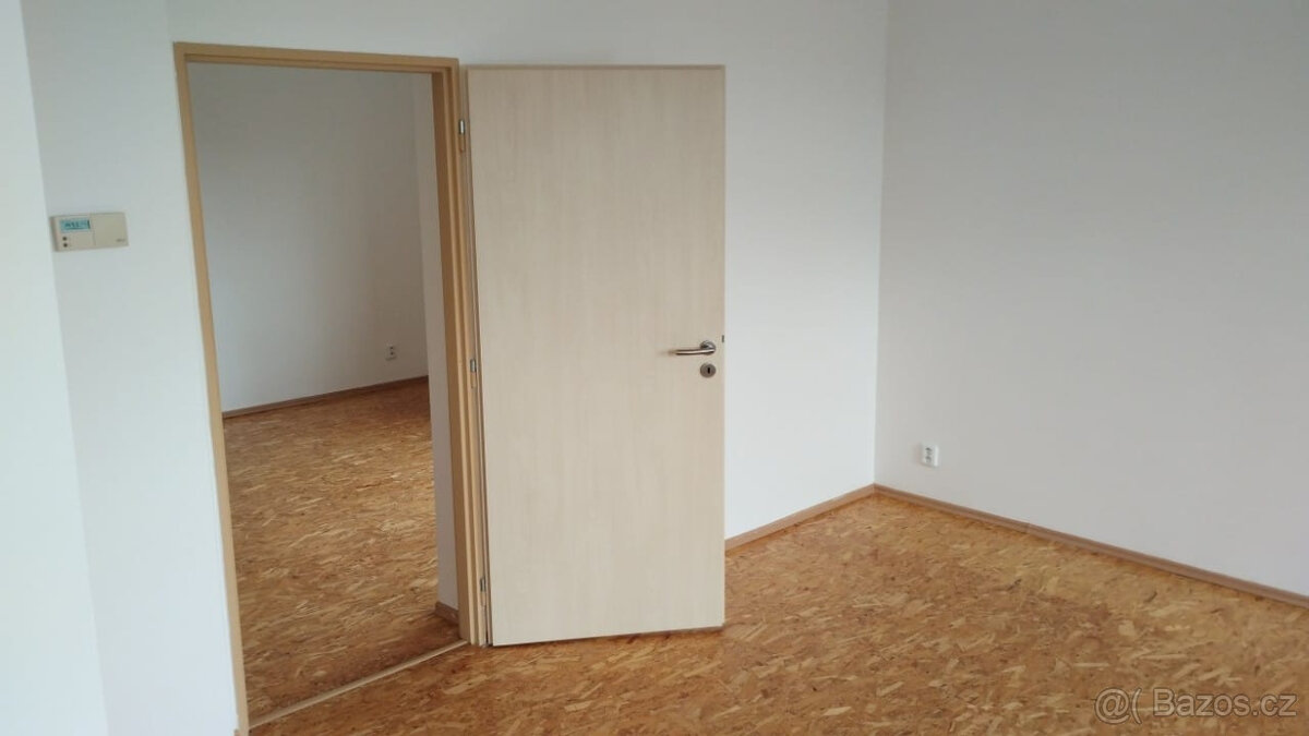 Pronajmu byt 2+1 - 3