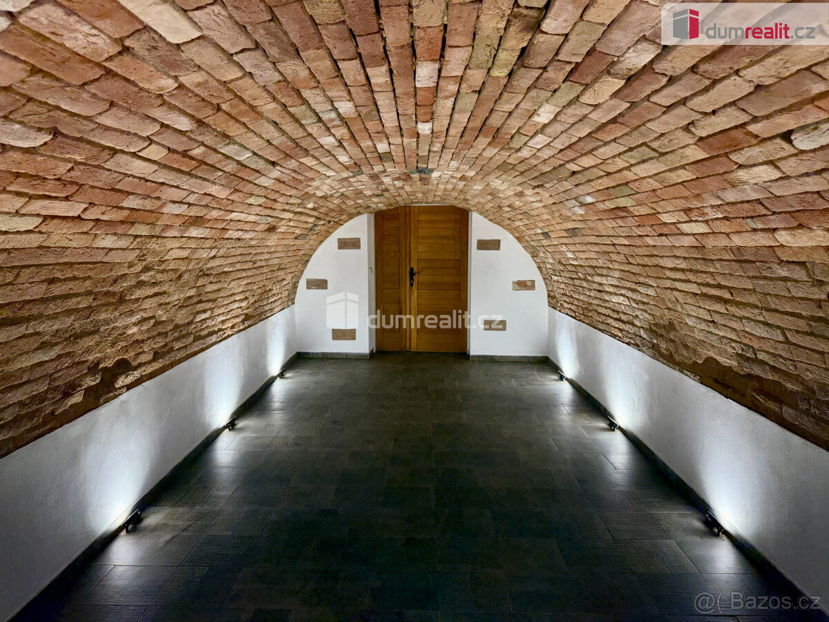 Prodej vinného sklepa v Domaníně - 3