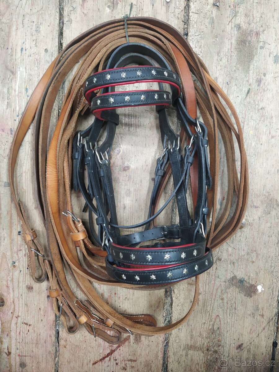 Poprsní postroje na pár - 3