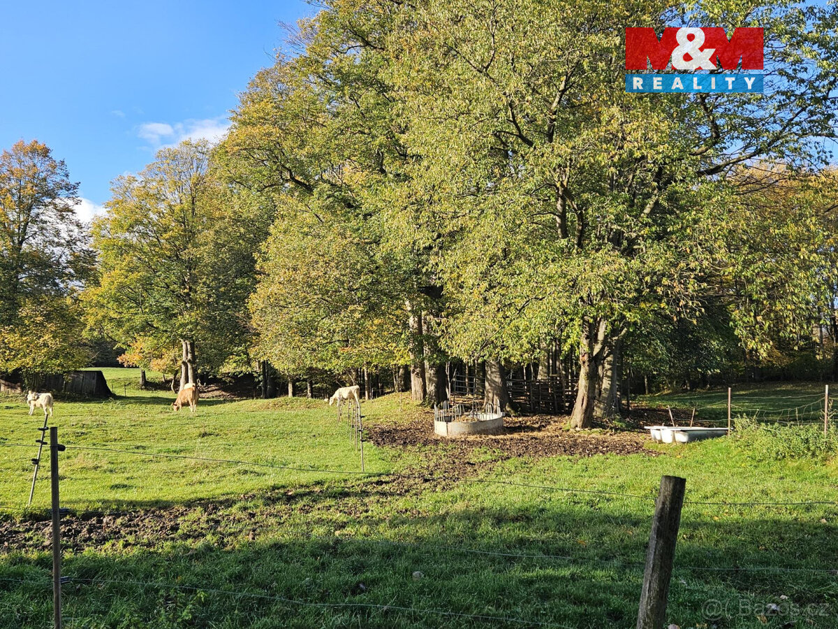 Prodej ostatní, 2133 m², Zlaté Hory - 3