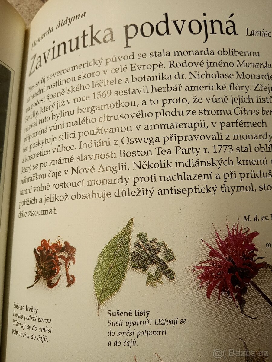 Bylinář - zdraví, krása a radost - L.Bremnessová - 3