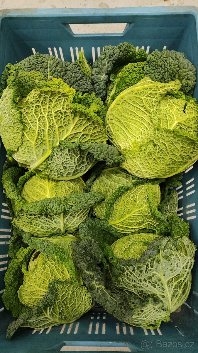 🌿 Farma24 – čerstvá zelenina přímo od farmářů 🌿 - 3