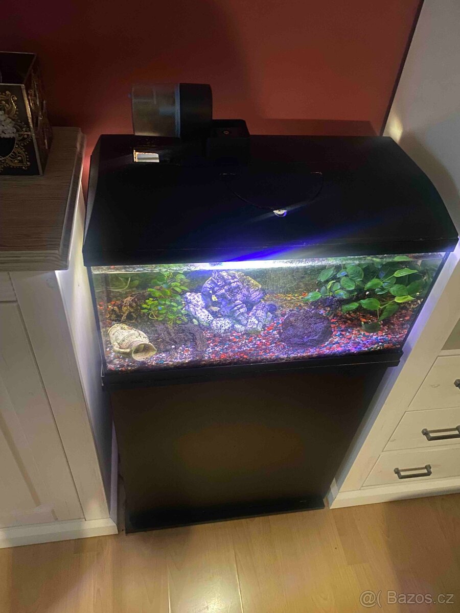 Akvárium - 3