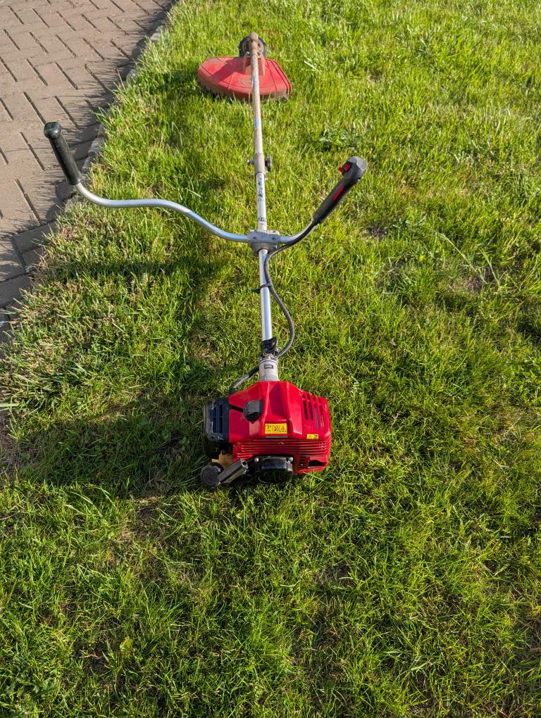 Hecht - 3