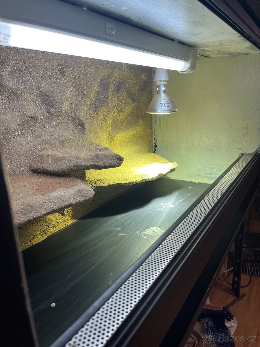 Terárium 100x50x50 s 3D stěnou a osvětlení - 3