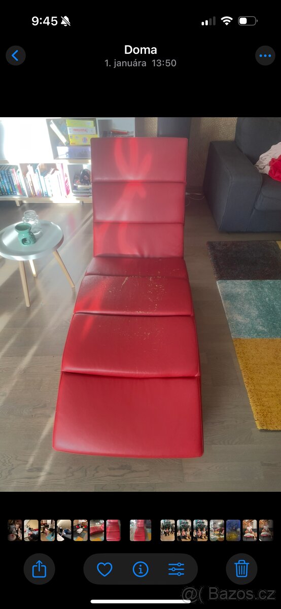 Lenoška červená - 3