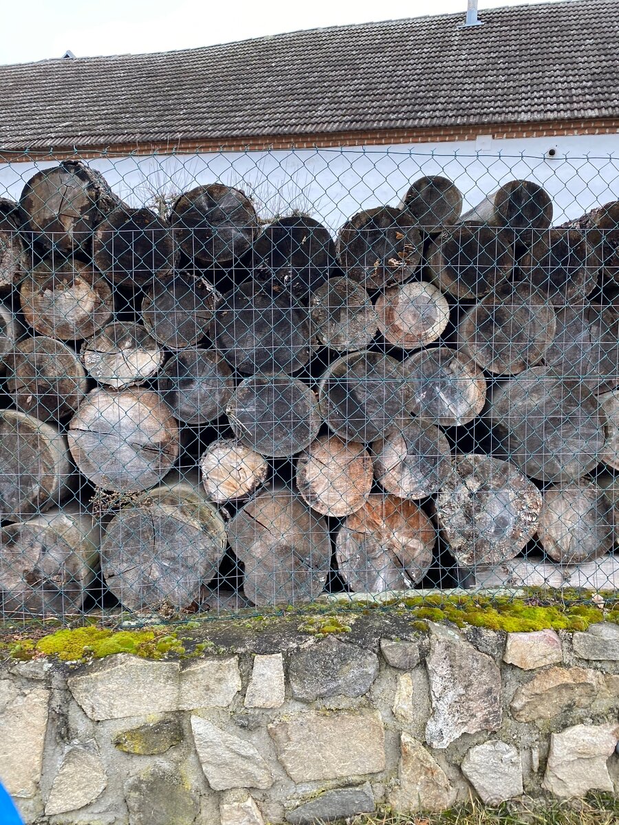 Palivové dřevo - 3