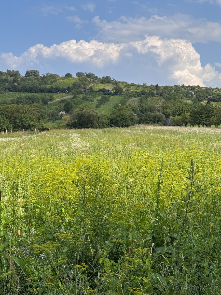 Prodej pozemku - 3