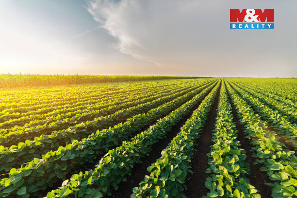 Prodej louky, 5225 m², Příbram - 3