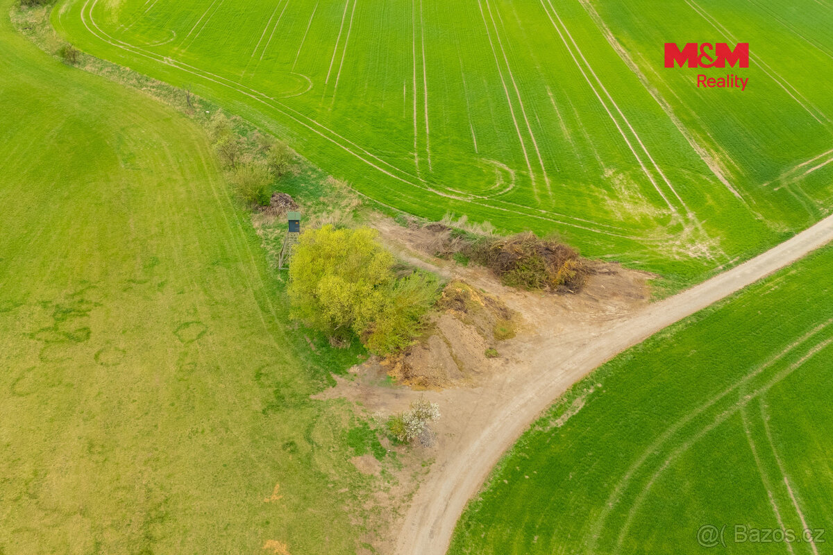 Prodej louky, 730 m², Olešnice - 3