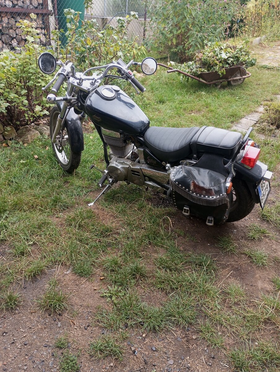 Suzuki LS650 - 3