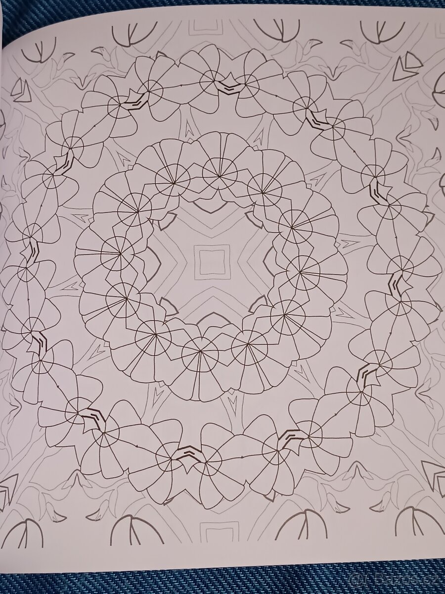 Omalovánky pro dospělé: Inspirativní a ............. - 3