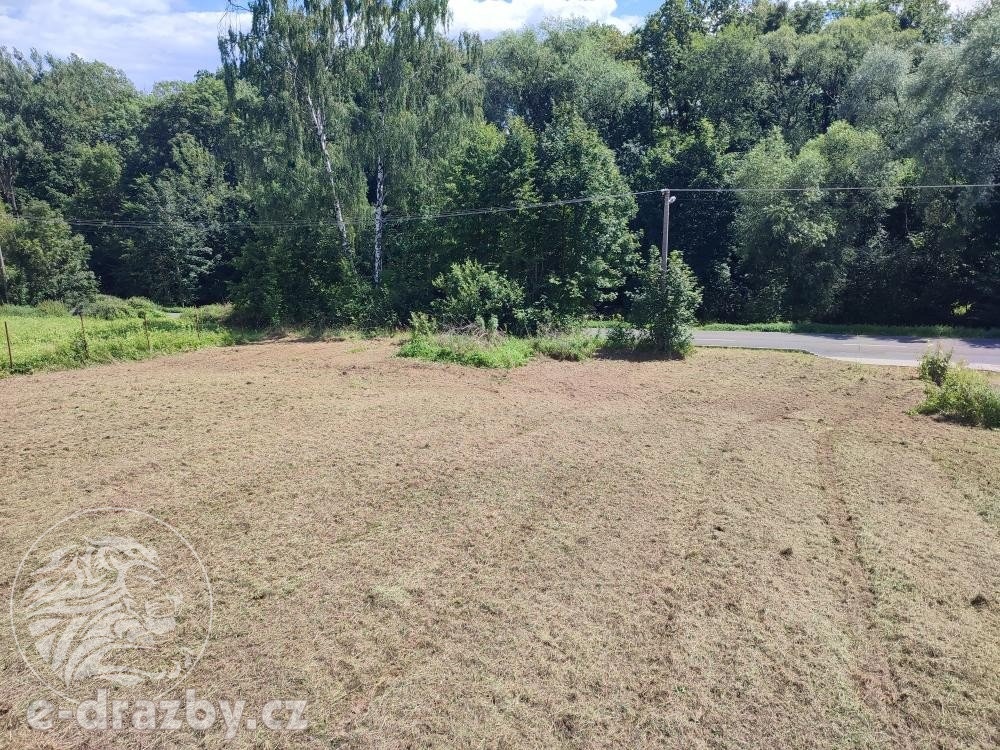 Pozemky pro výstavbu, zahrady, 11 054 m2, Bruzovice, okres F - 3