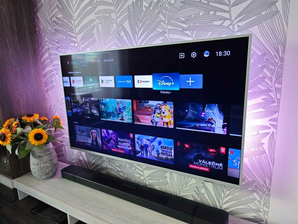 Philips 55 PUS7304 - 3