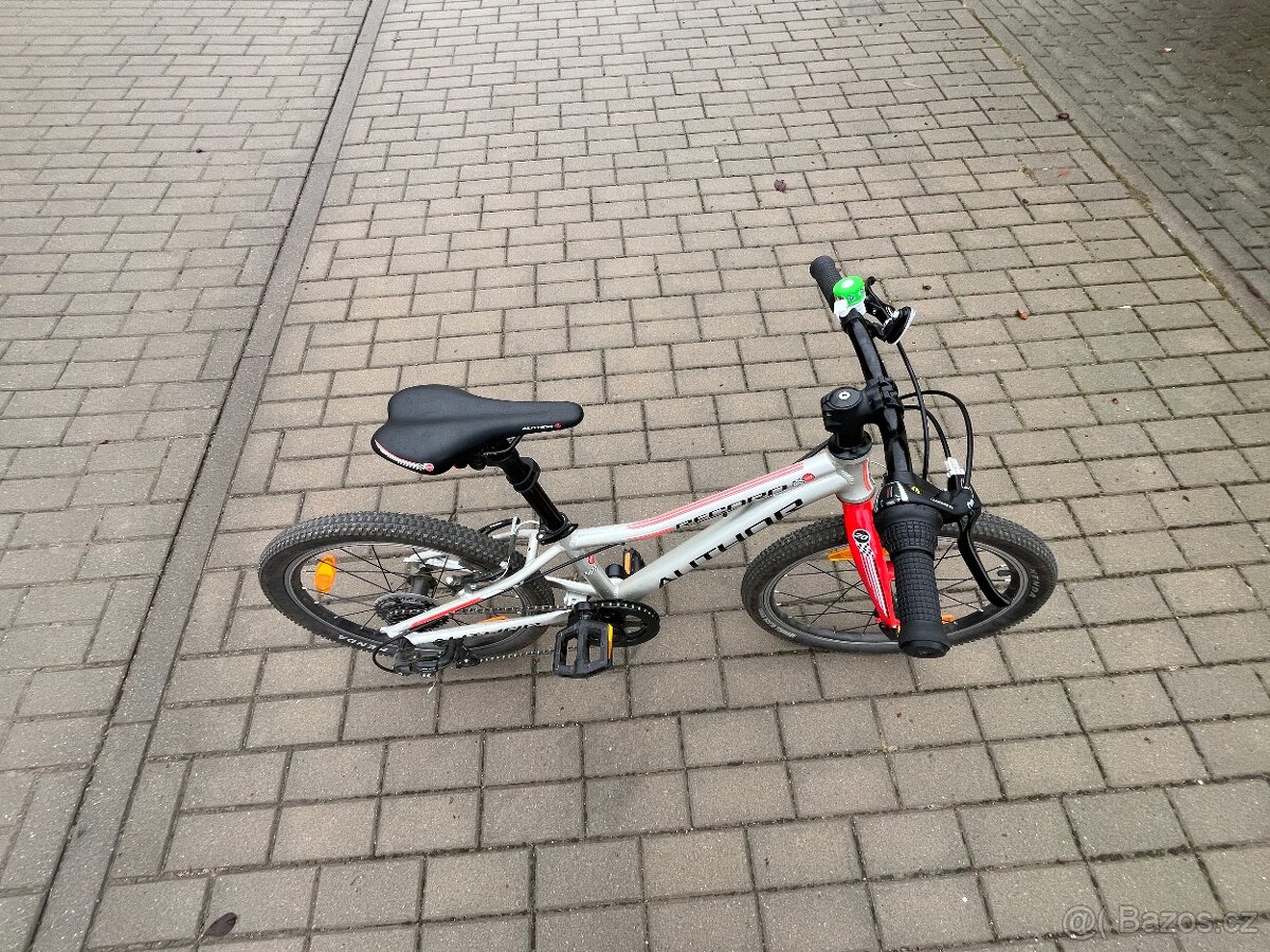 Author Record 20 - 3