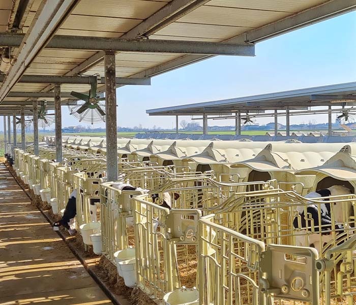 Boudy pro telata Calfella - 3