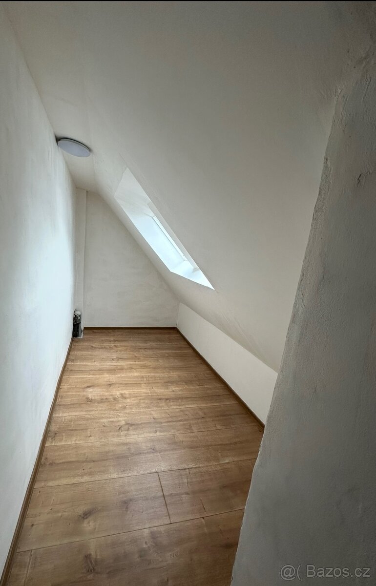 Pronájem rodinného domu - 3