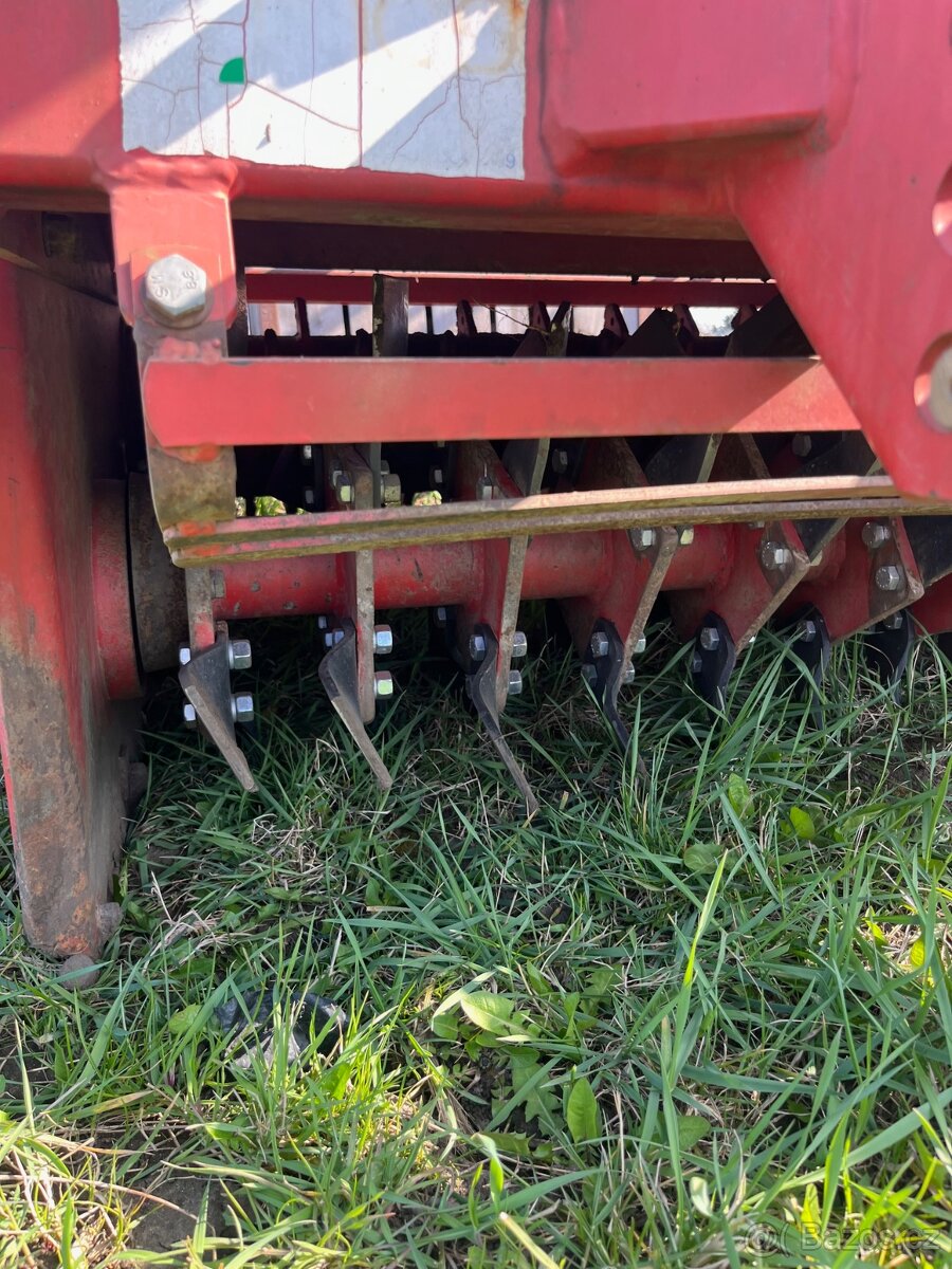 Maschio super AF - 3