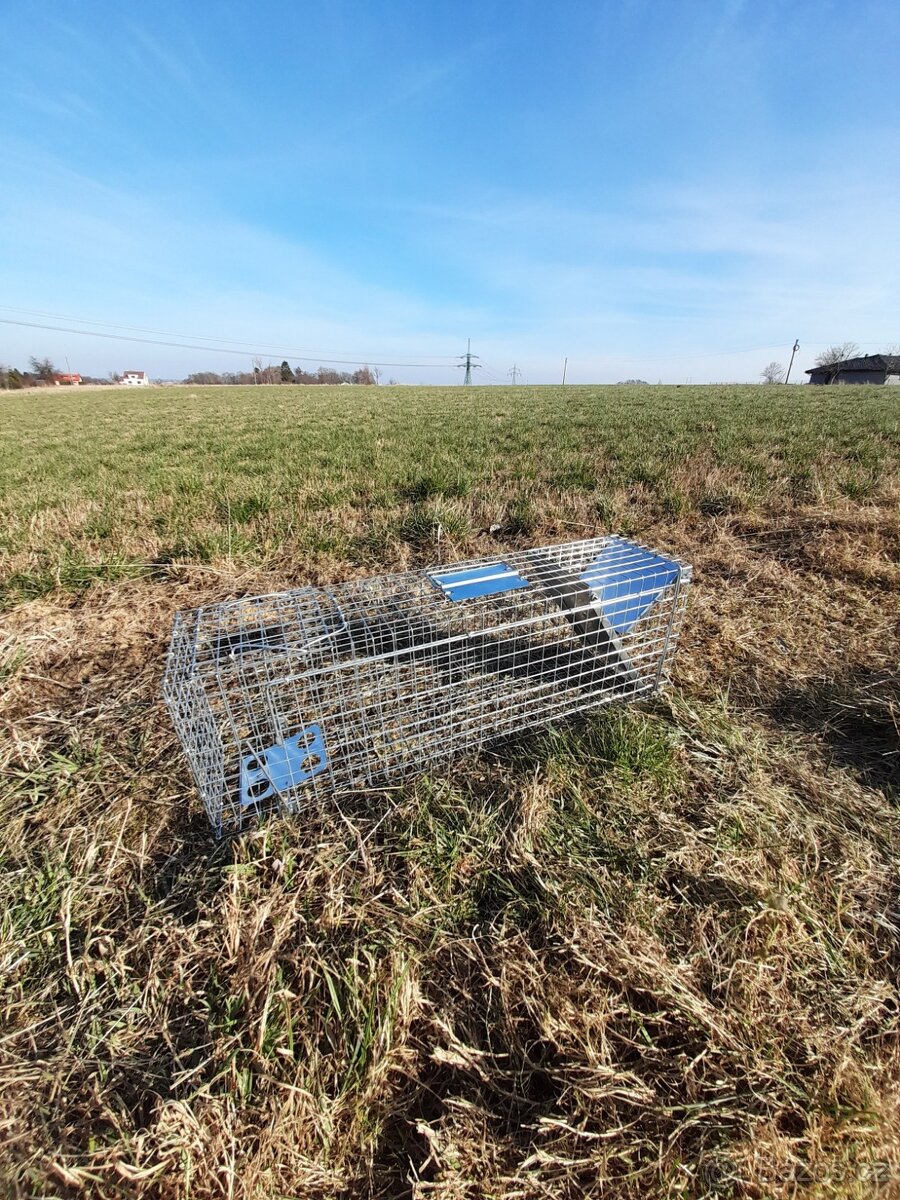 Skvělé pasti, sklopce na kuny, lišky, kočky, potkany atd - 3