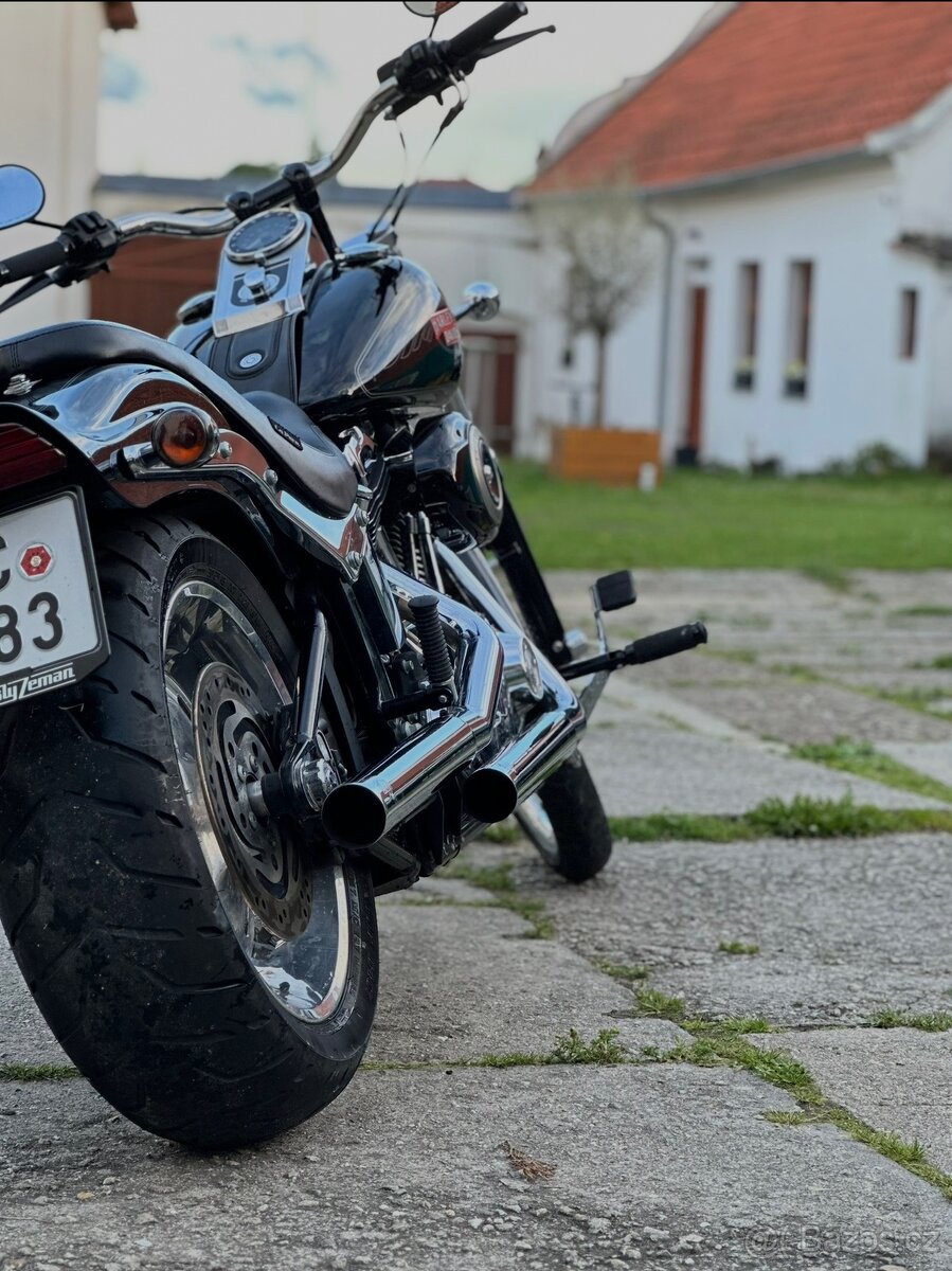 Harley davidson softail custom - 3